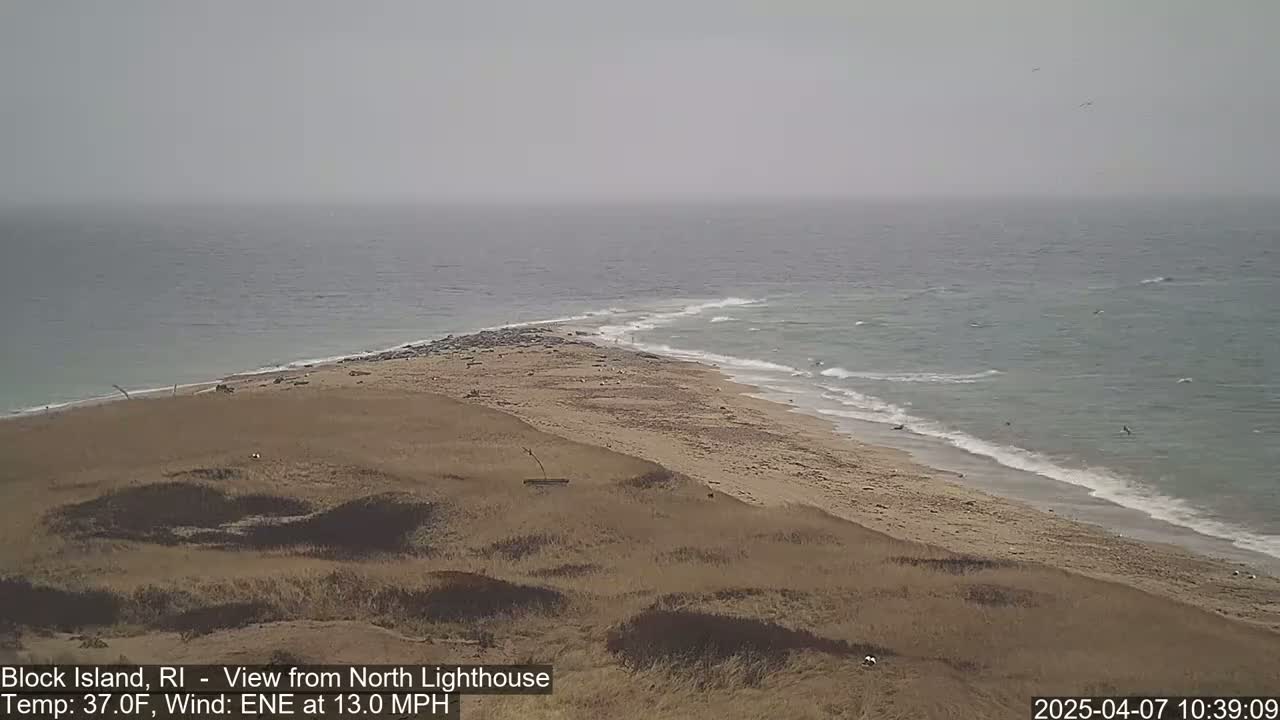 A sandy beach curves into a gray, hazy ocean under a cloudy sky.