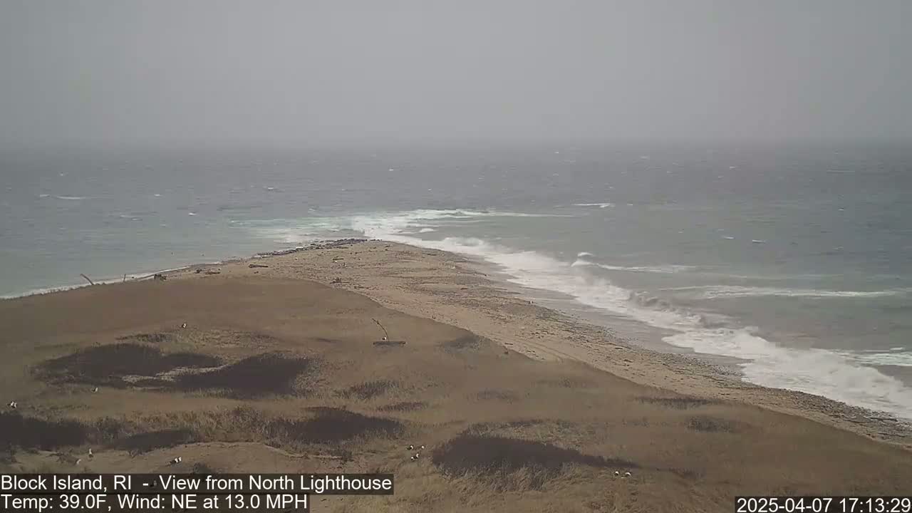 A sandy coastal area with waves breaking on the shore under an overcast sky.