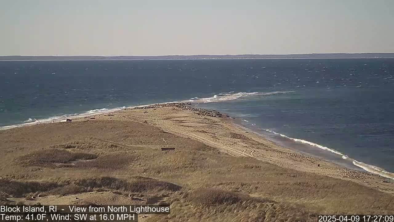 A sandy beach with a group of seals near the water's edge, overlooking a choppy ocean under a clear sky with a southwest wind at 16 mph.