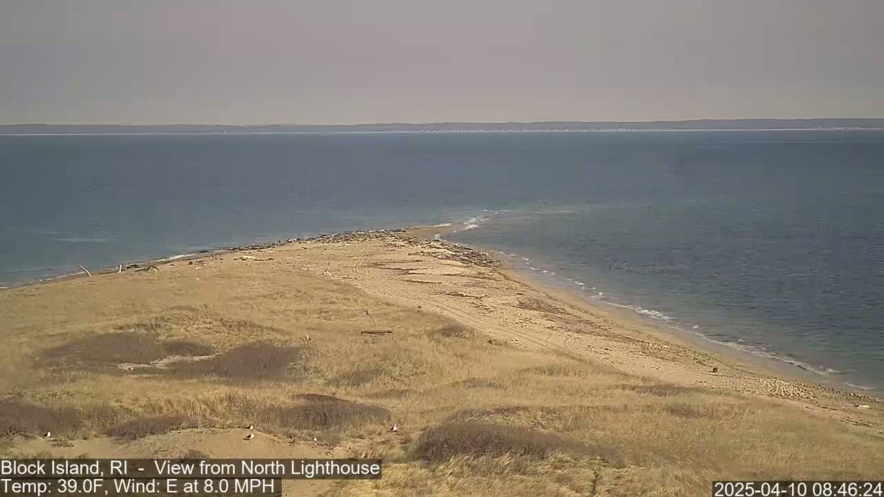 A sandy beach and grassy dunes meet a calm, blue ocean under a clear sky.
