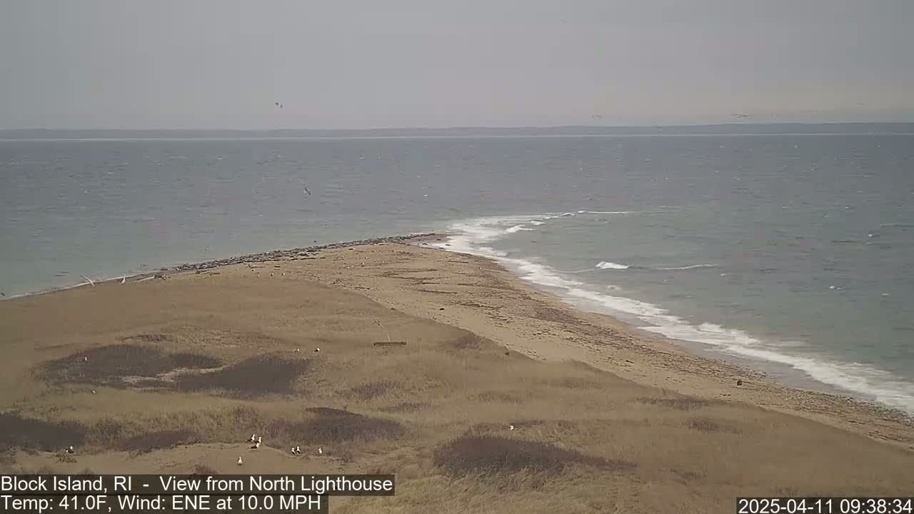 A sandy beach curves into a calm ocean under an overcast sky with a 10 mph wind.