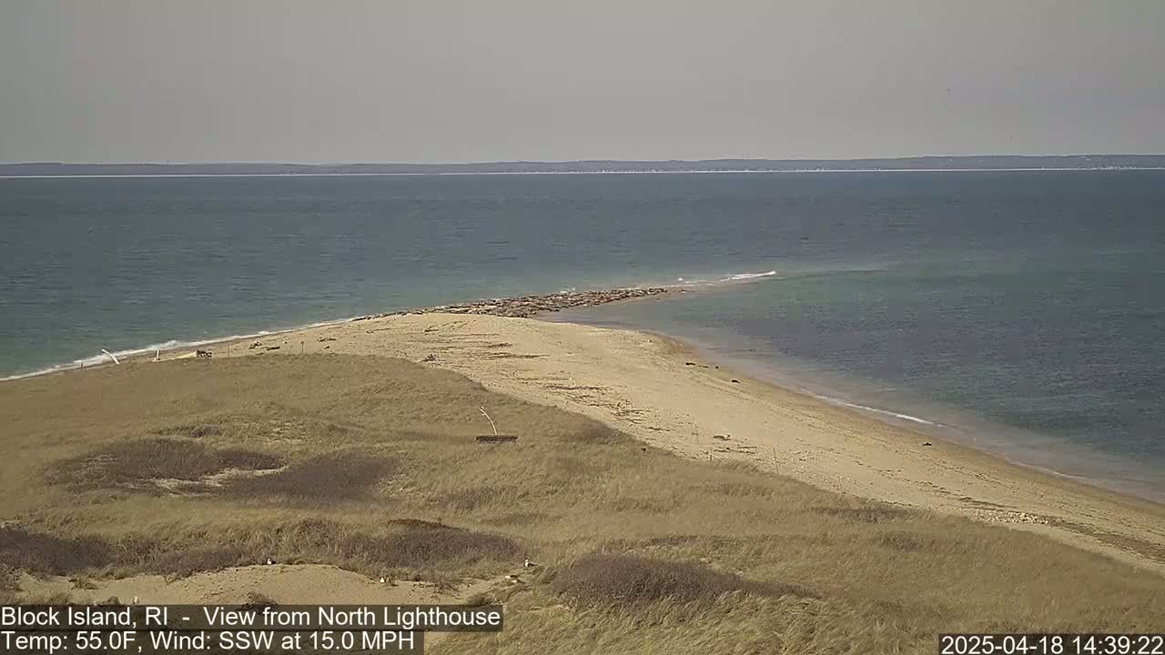 A sandy beach with a group of seals near the water's edge, viewed from a dune under a mostly cloudy sky, with a 15 mph wind.