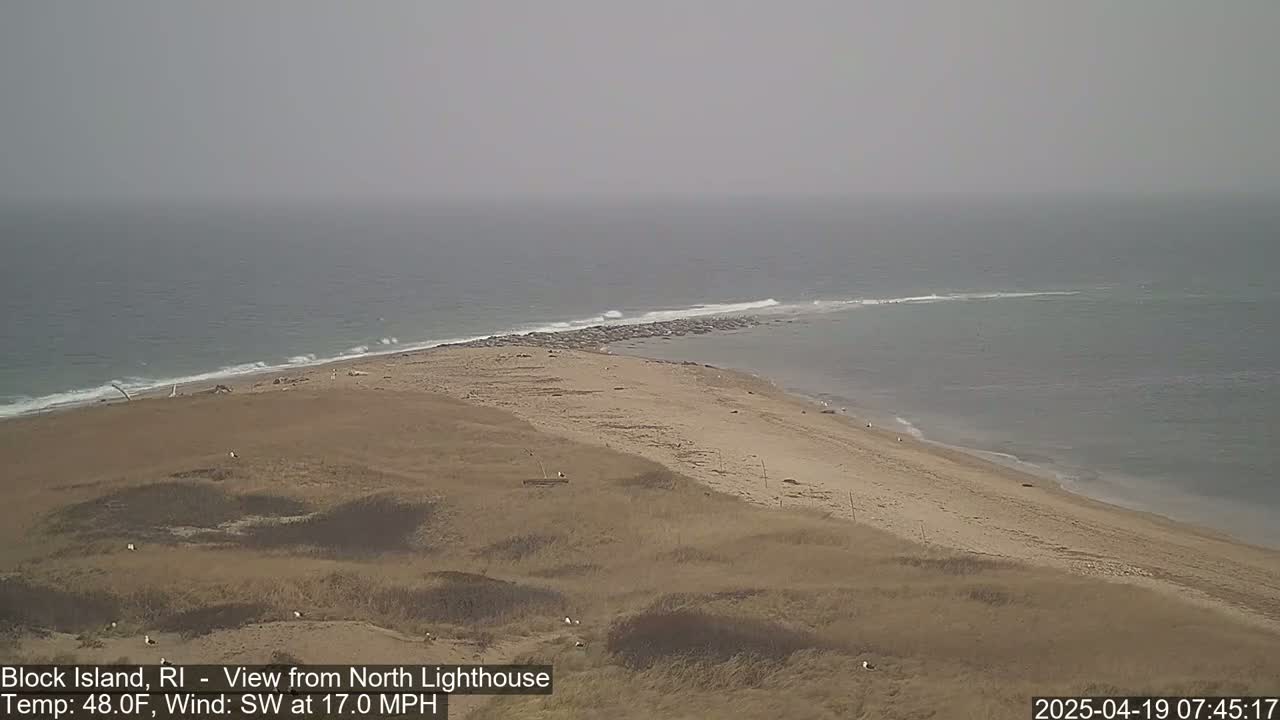 A hazy, sandy beach with a group of seals near the water's edge, under a gray sky with a southwest wind.