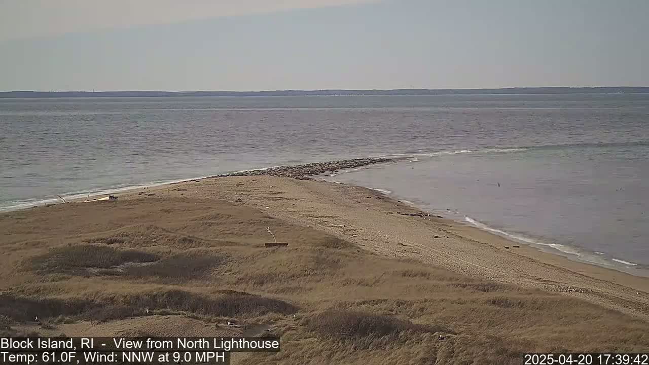 A sandy beach meets a calm ocean under a clear sky.