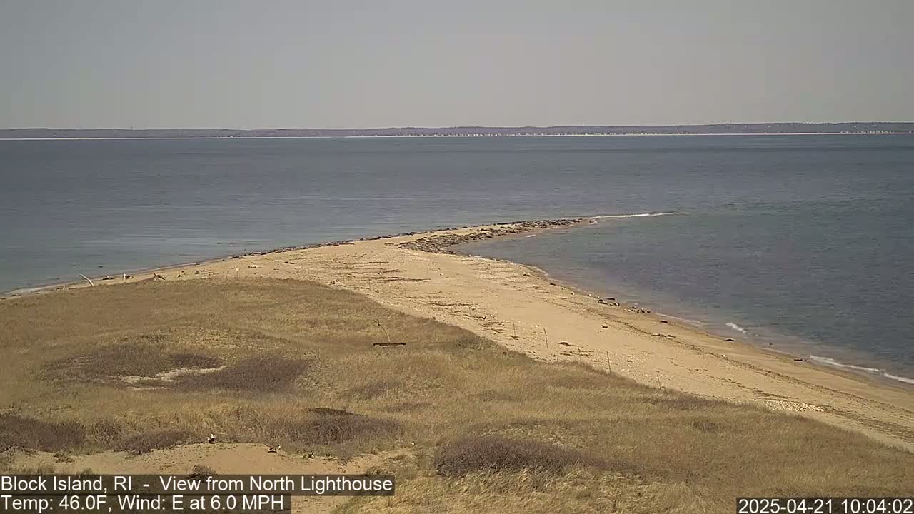A sandy beach and grassy dunes meet a calm, gray ocean under a clear sky.