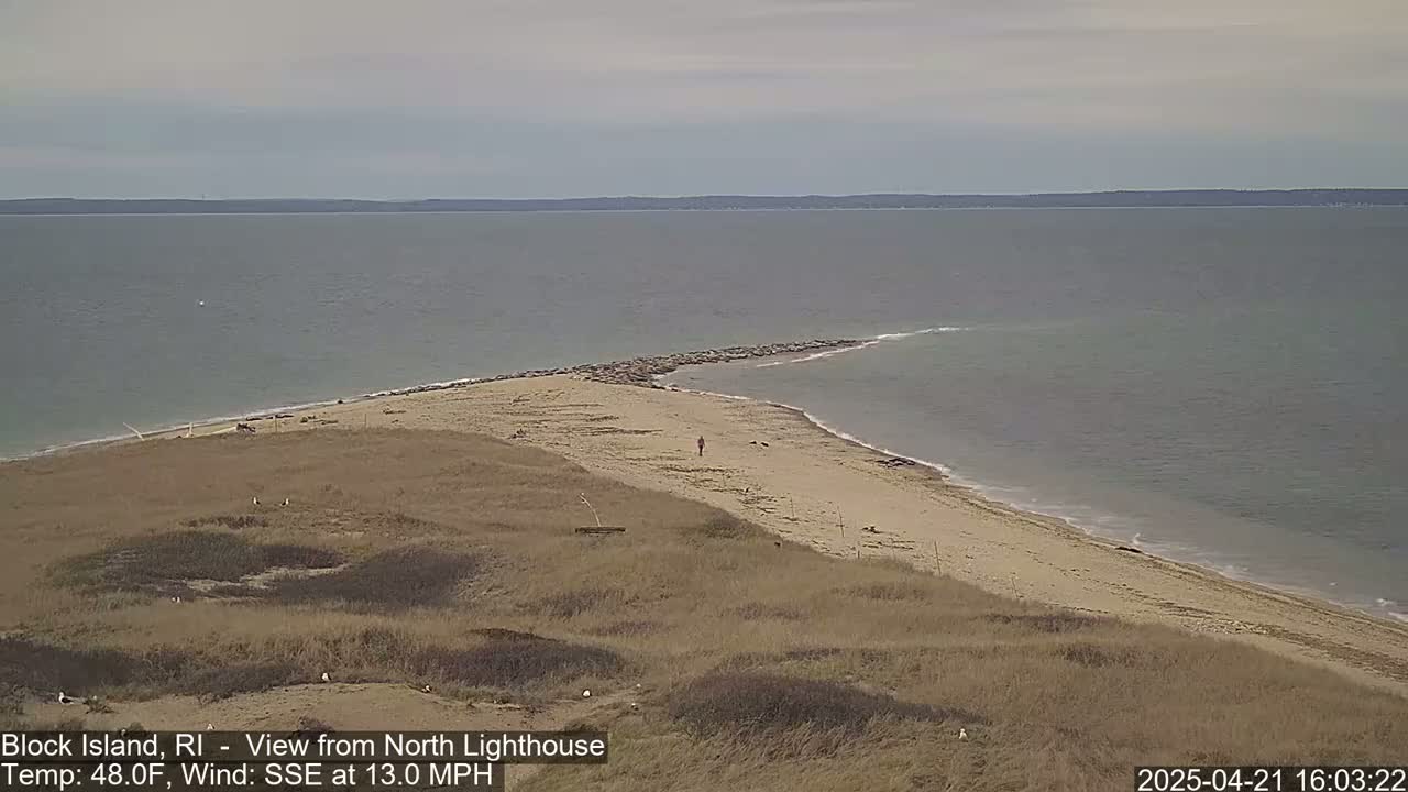 A sandy beach with a rocky point extending into a calm sea is viewed from a dune under an overcast sky.