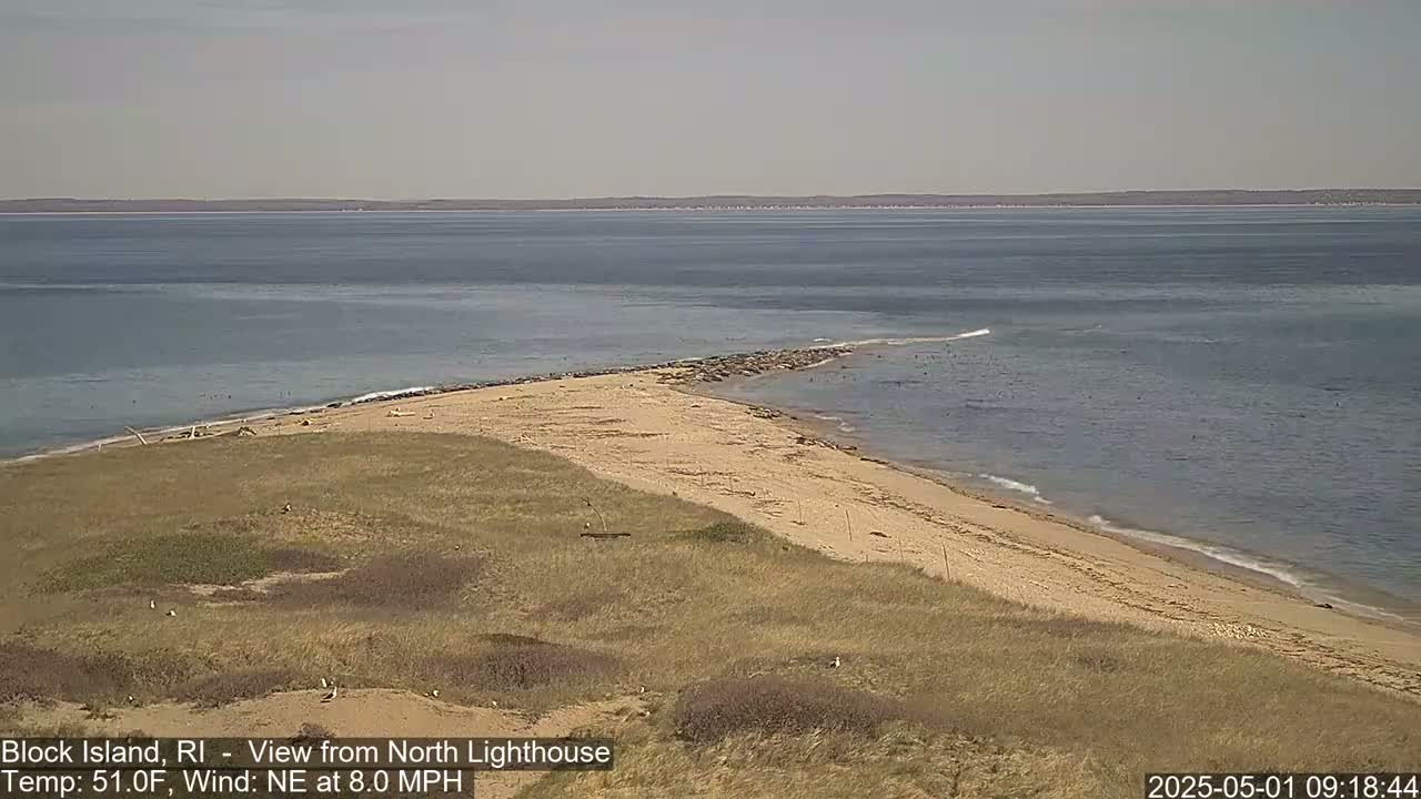 A sandy beach and grassy dunes meet a calm ocean under a clear sky.