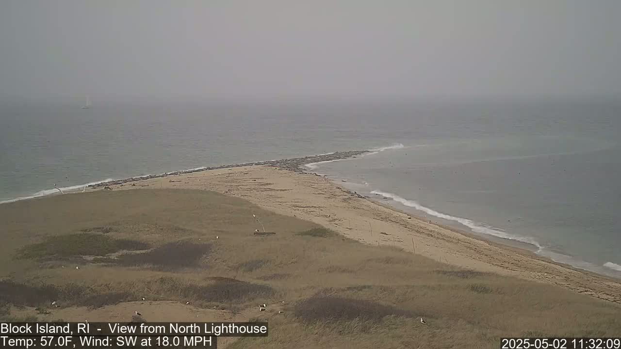 A hazy, overcast day reveals a sandy beach and rocky shoreline meeting a calm ocean, with a few birds visible on the dunes.