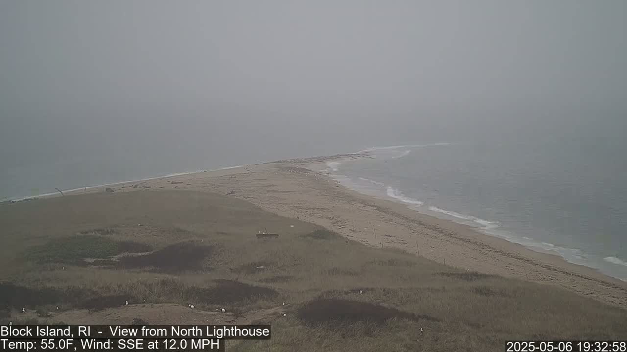 A foggy coastal scene shows a sandy beach curving into a point, meeting a gray ocean with small waves under an overcast sky.