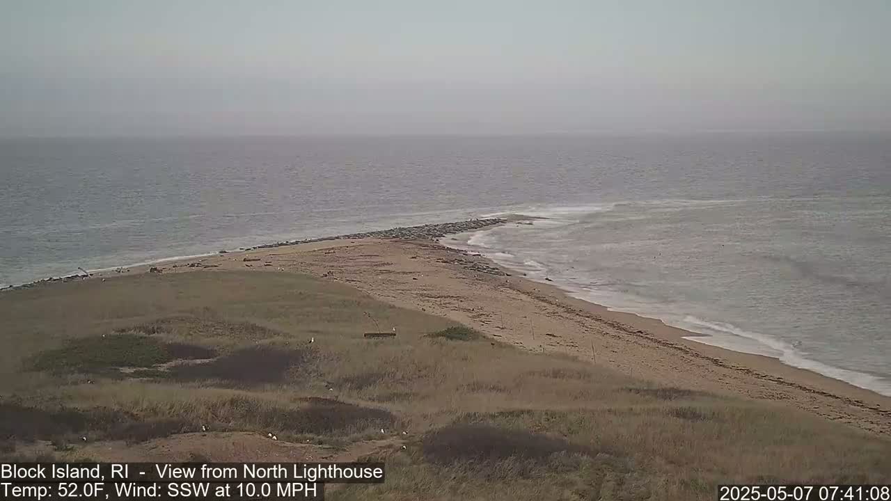 A hazy, overcast view shows a sandy beach and ocean with a rocky outcropping extending into the water, and some birds are visible on the shore.