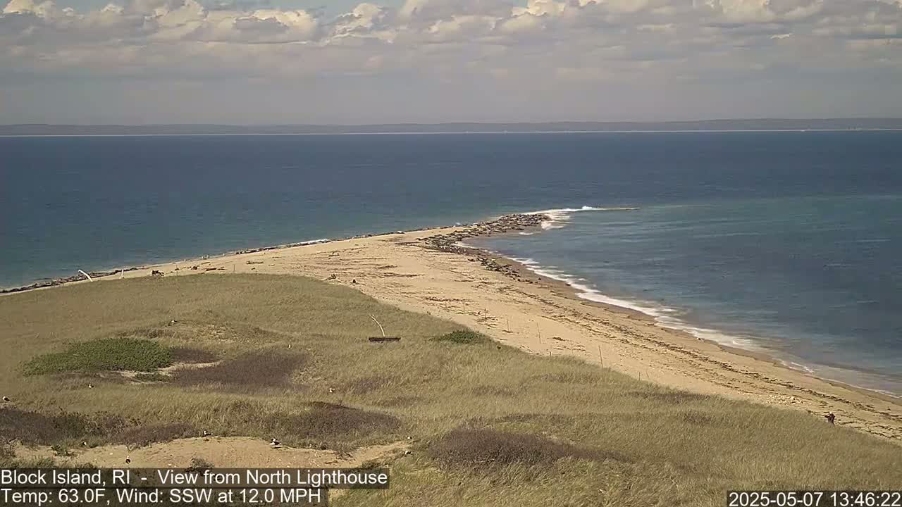 A sandy beach curves around a point of land where seals are gathered, with a calm ocean under partly cloudy skies.