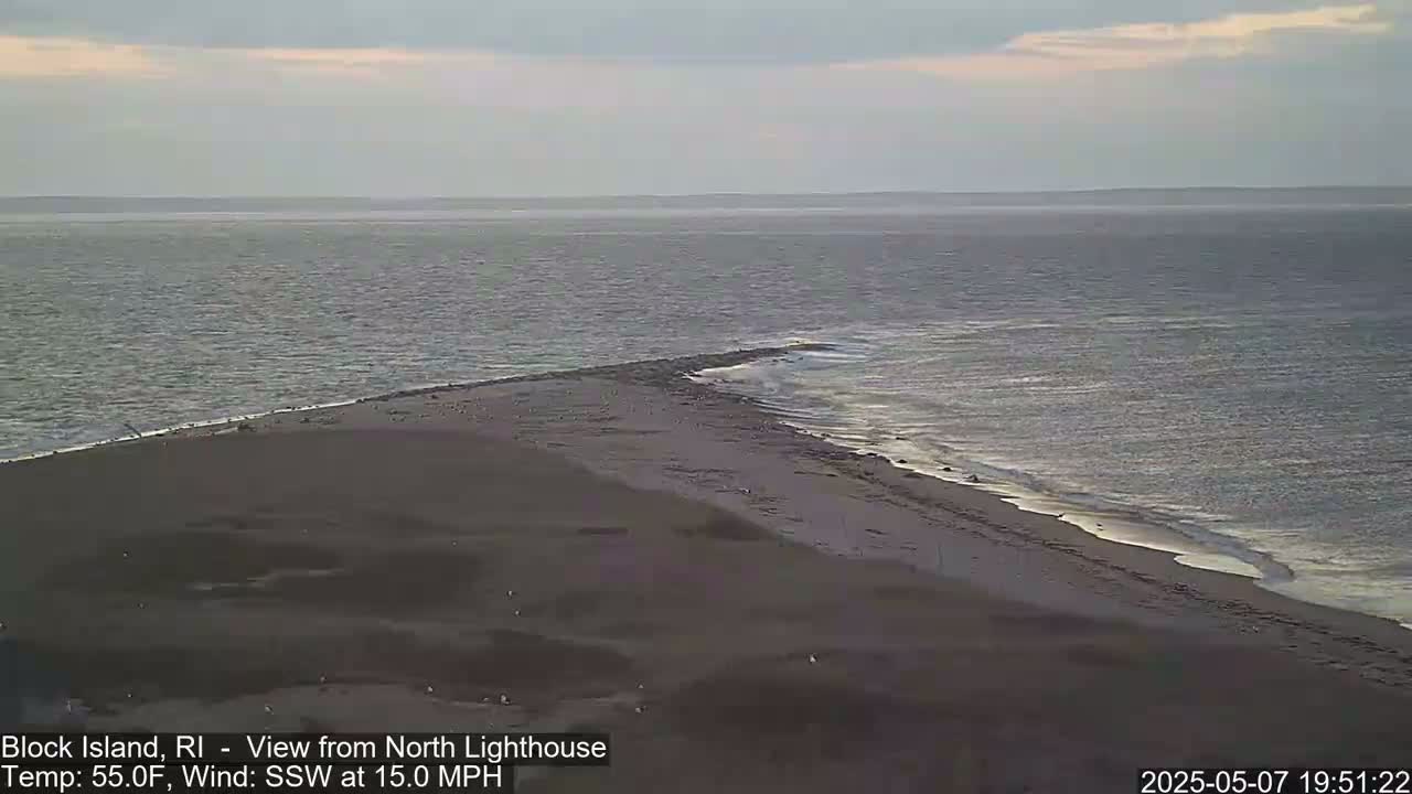 A dark, sandy beach and a calm, gray ocean are shown under an overcast sky.