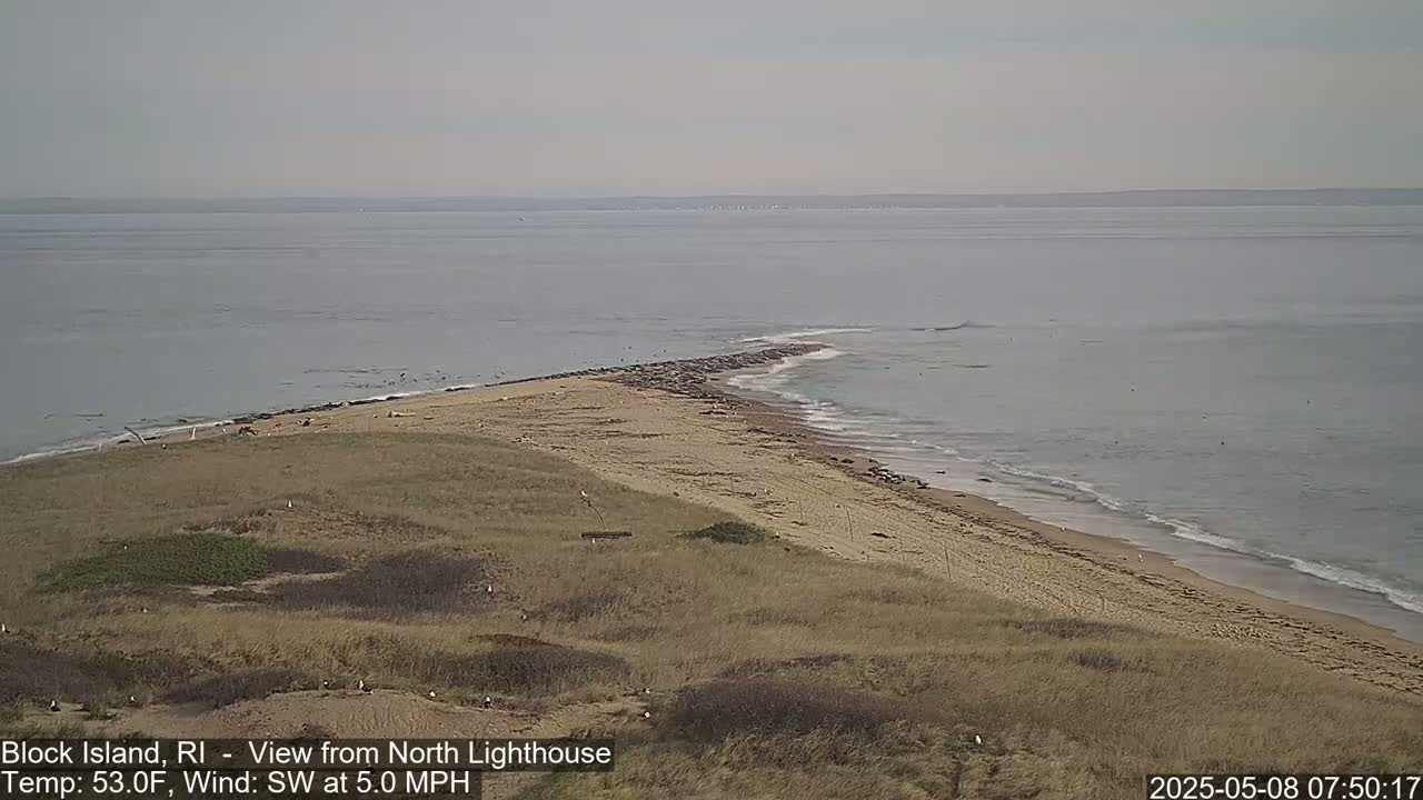 A sandy beach and grassy dunes meet a calm ocean under an overcast sky.