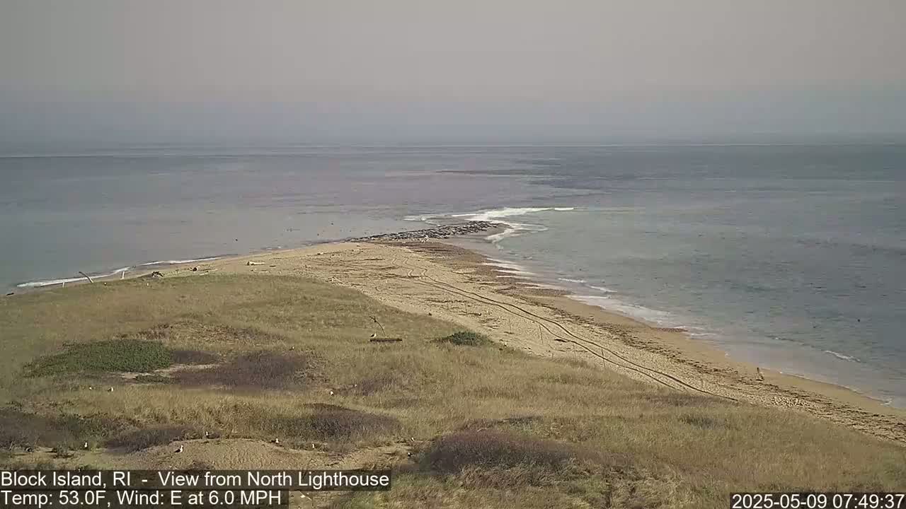 A sandy beach with tire tracks, a group of seals on a rocky outcrop, and a calm ocean under an overcast sky.