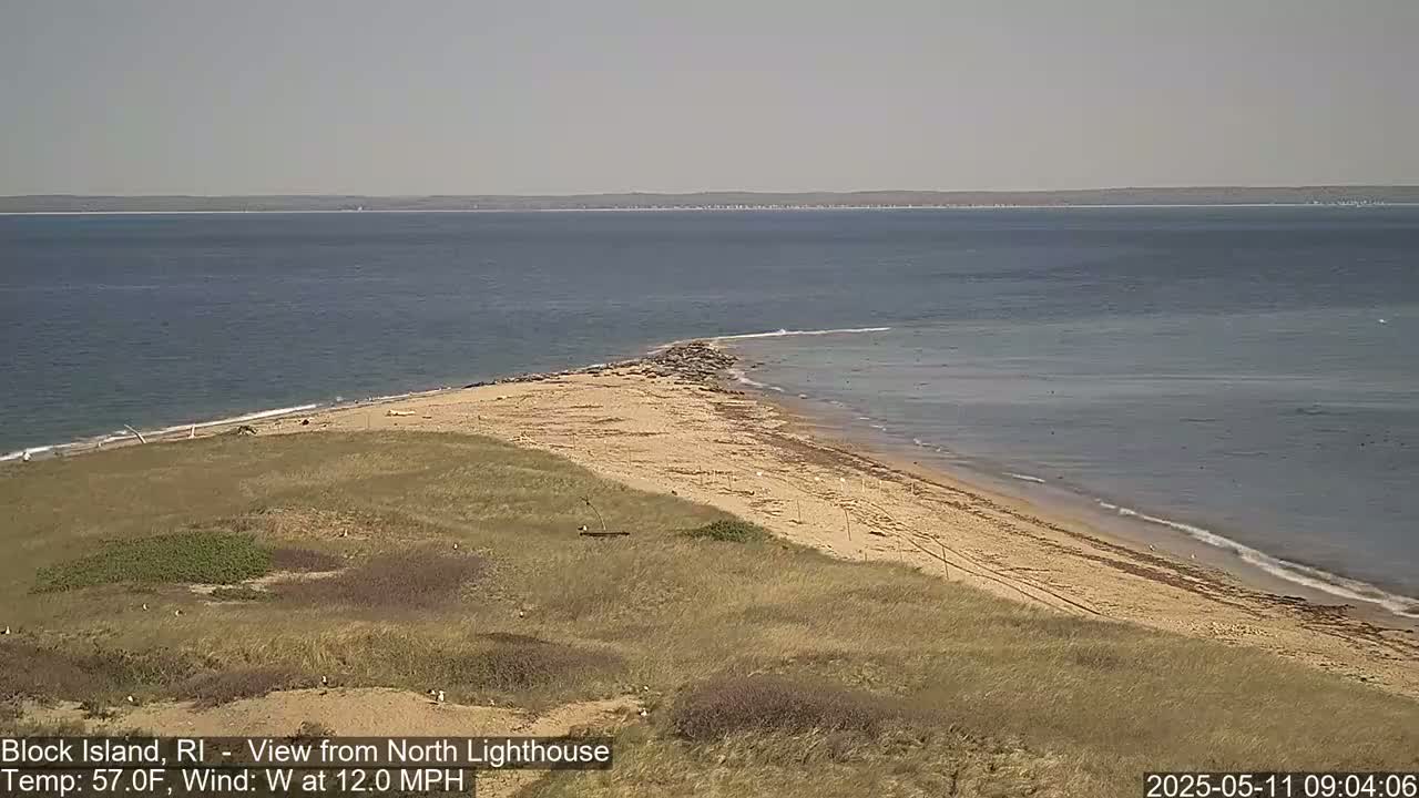 A sandy beach and grassy dunes overlook a calm ocean under a hazy sky.
