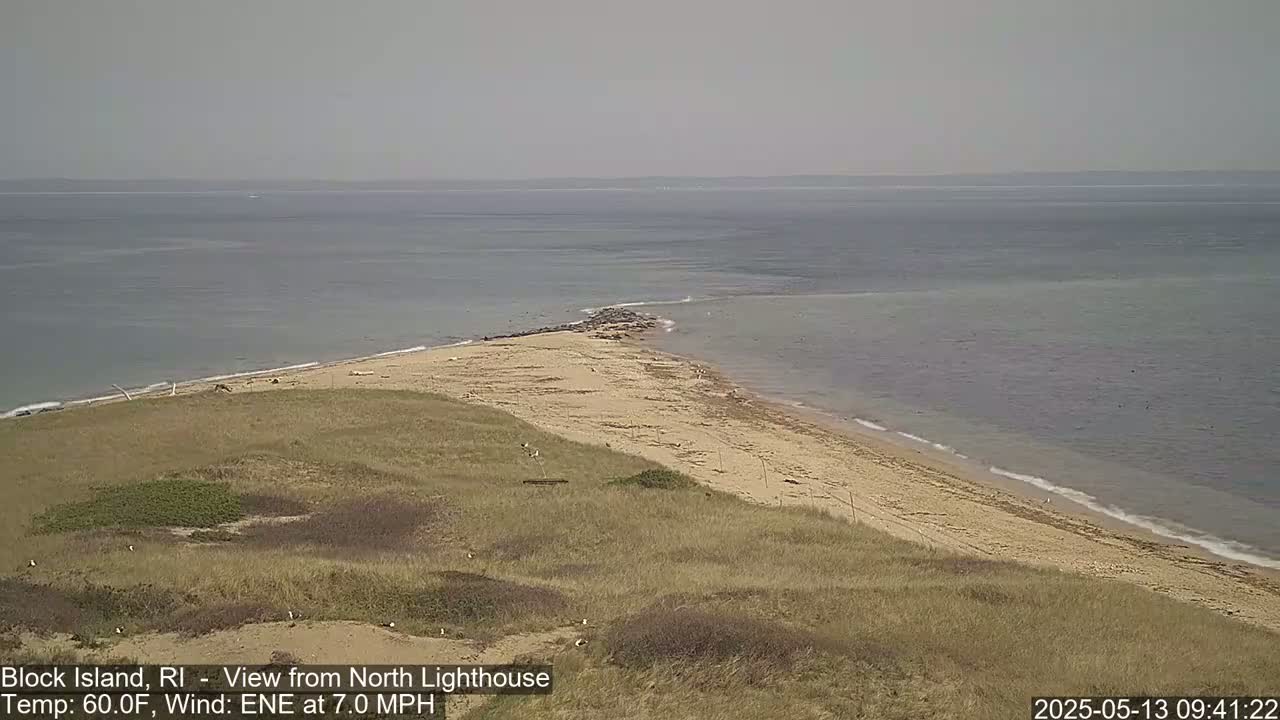 A sandy beach and grassy dunes meet a calm, gray ocean under a hazy sky.