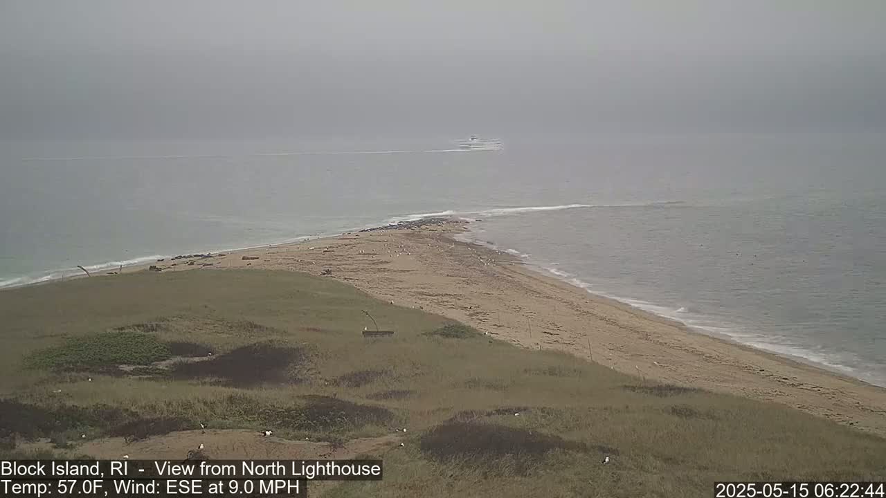 A hazy, overcast day reveals a sandy beach curving into a calm ocean; a distant vessel is visible on the water.