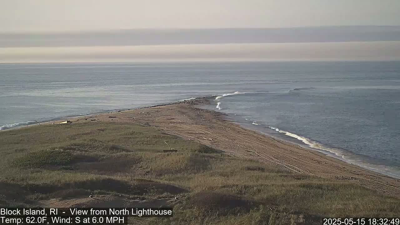 A foggy, gray scene is visible, with a 6.0 mph wind blowing from the south-southwest.