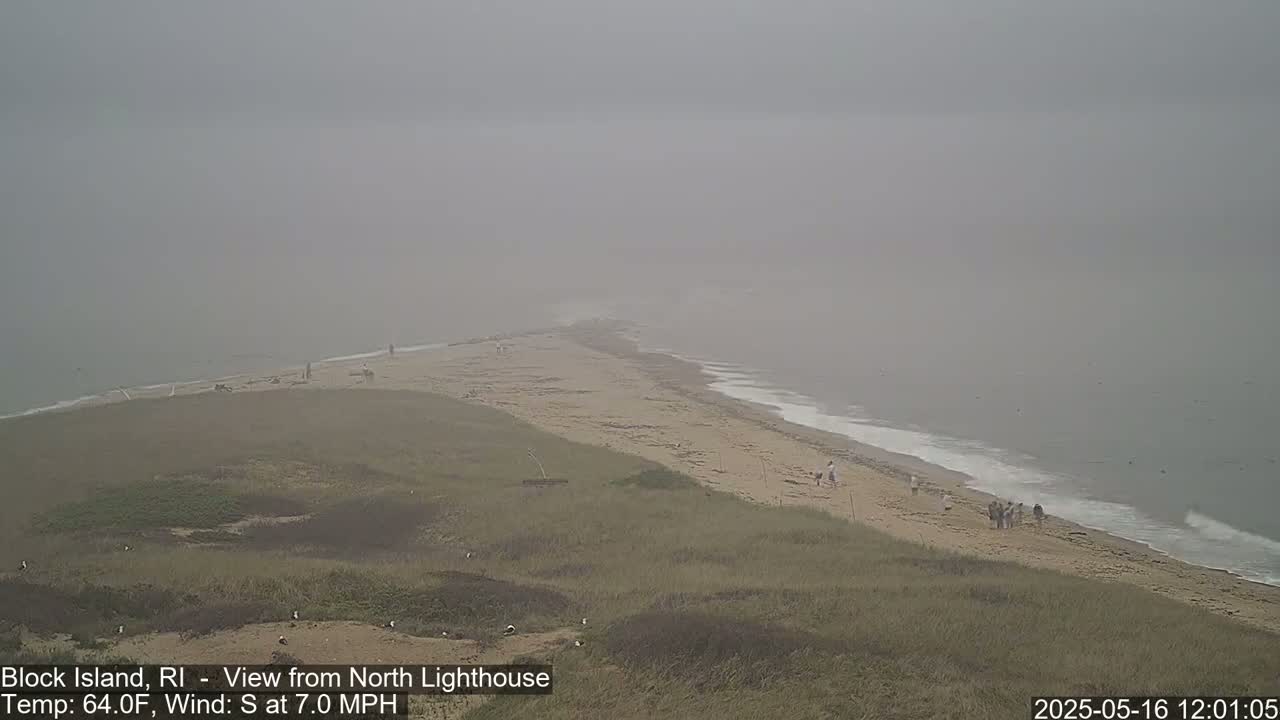 A foggy beach scene shows a sandy shoreline with a few people, gently rolling waves, and grassy dunes.