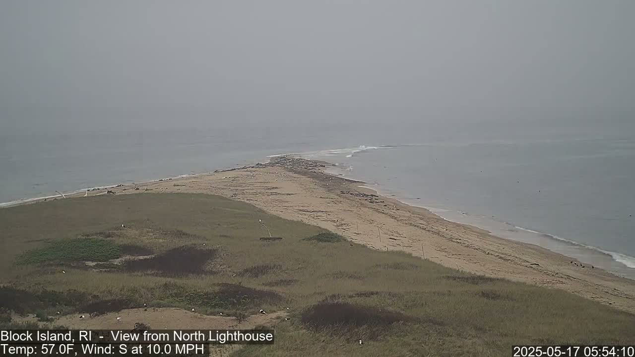 A hazy, sandy beach curves gently into a calm ocean under an overcast sky.