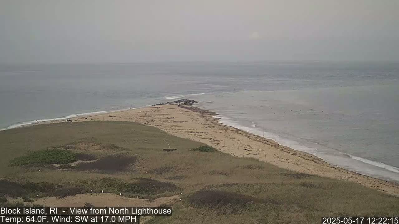 A sandy beach curves into a calm ocean under an overcast sky.