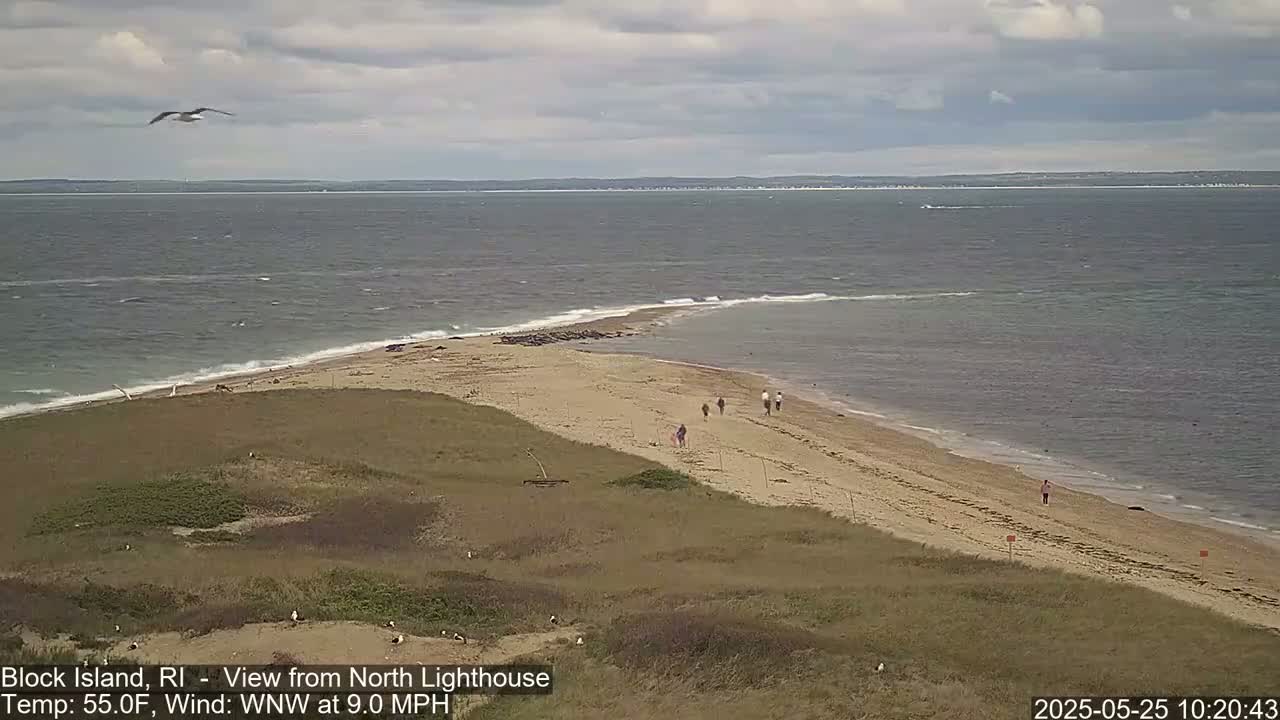 A sandy beach with a few people walking along it stretches out into a calm ocean under a mostly cloudy sky.