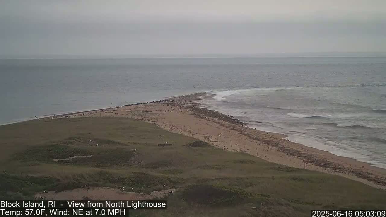 A sandy beach and grassy dunes meet a gray, wavy ocean under an overcast sky.