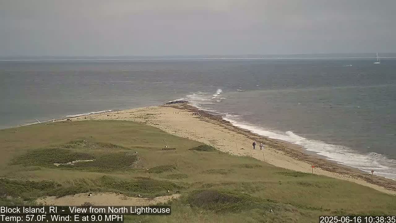 A sandy beach with a few people walking along it curves into a calm sea under an overcast sky.