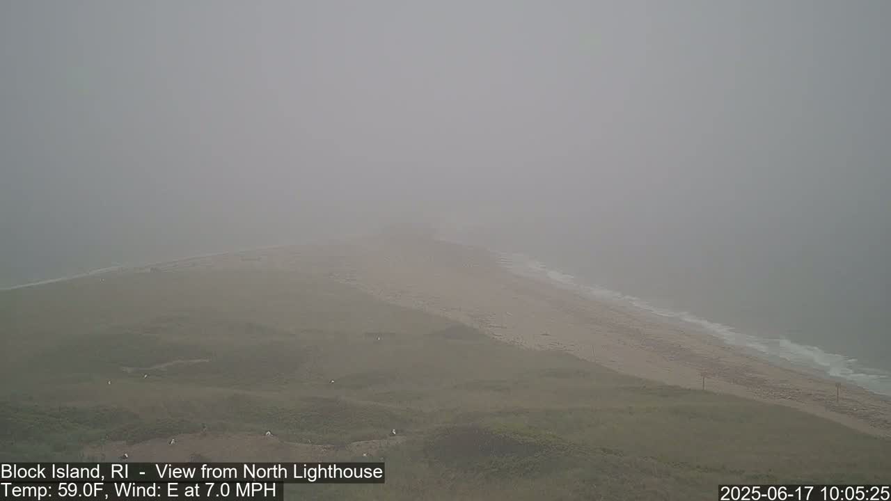 A foggy coastal scene shows a sandy beach meeting a hazy ocean, with grassy dunes sloping down to the shore.