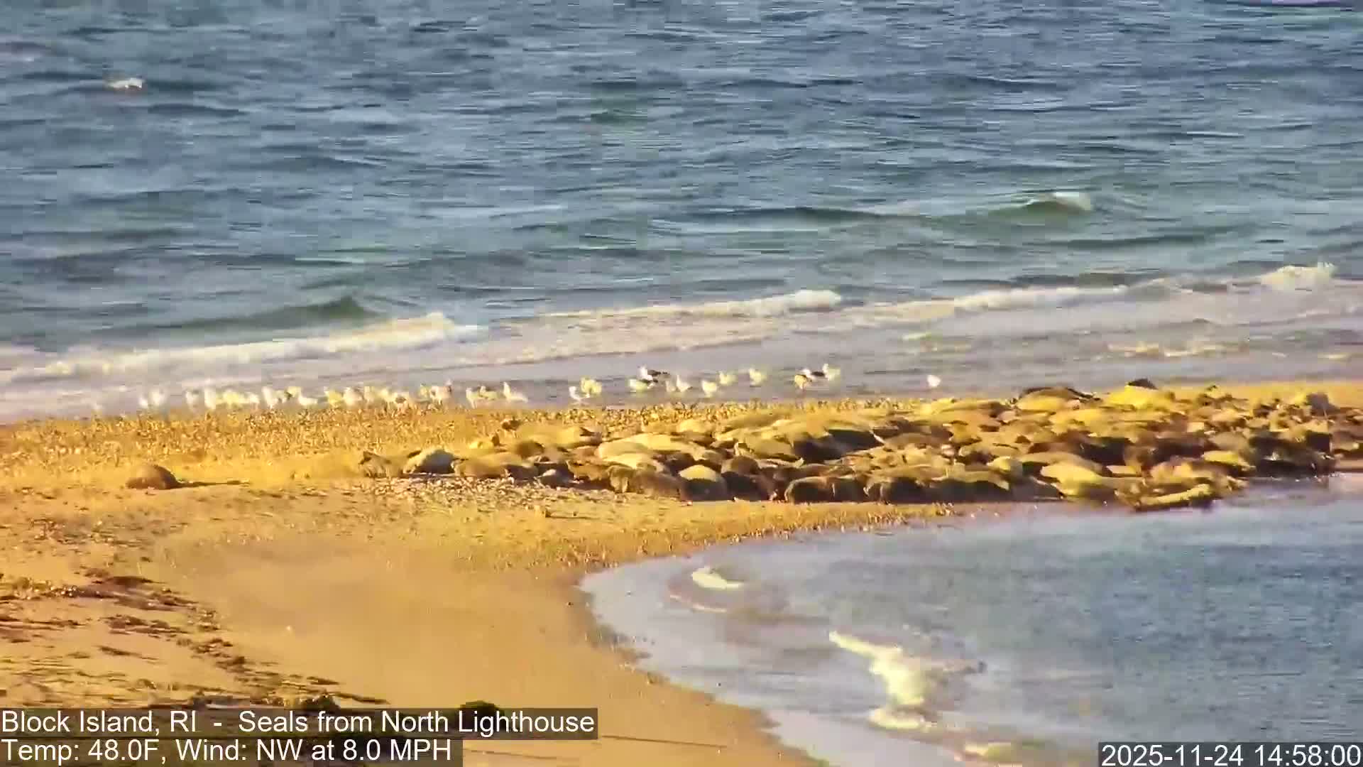 North Lighthouse, Live Cam - Block Island, RI USA 