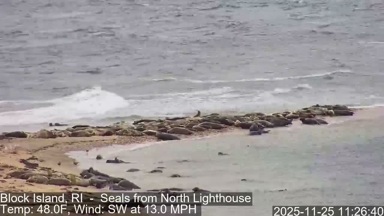 North Lighthouse, Live Cam - Block Island, RI USA 