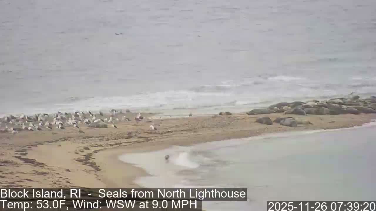 North Lighthouse, Live Cam - Block Island, RI USA 
