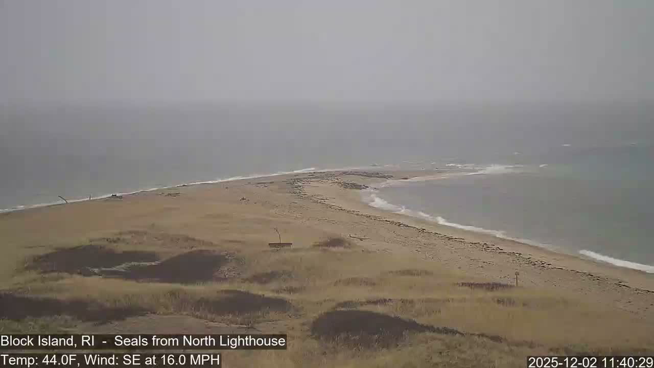 A hazy, overcast day reveals a sandy spit of land extending into a calm, grey sea with gentle waves, bordered by dry, sparse vegetation in the foreground.
