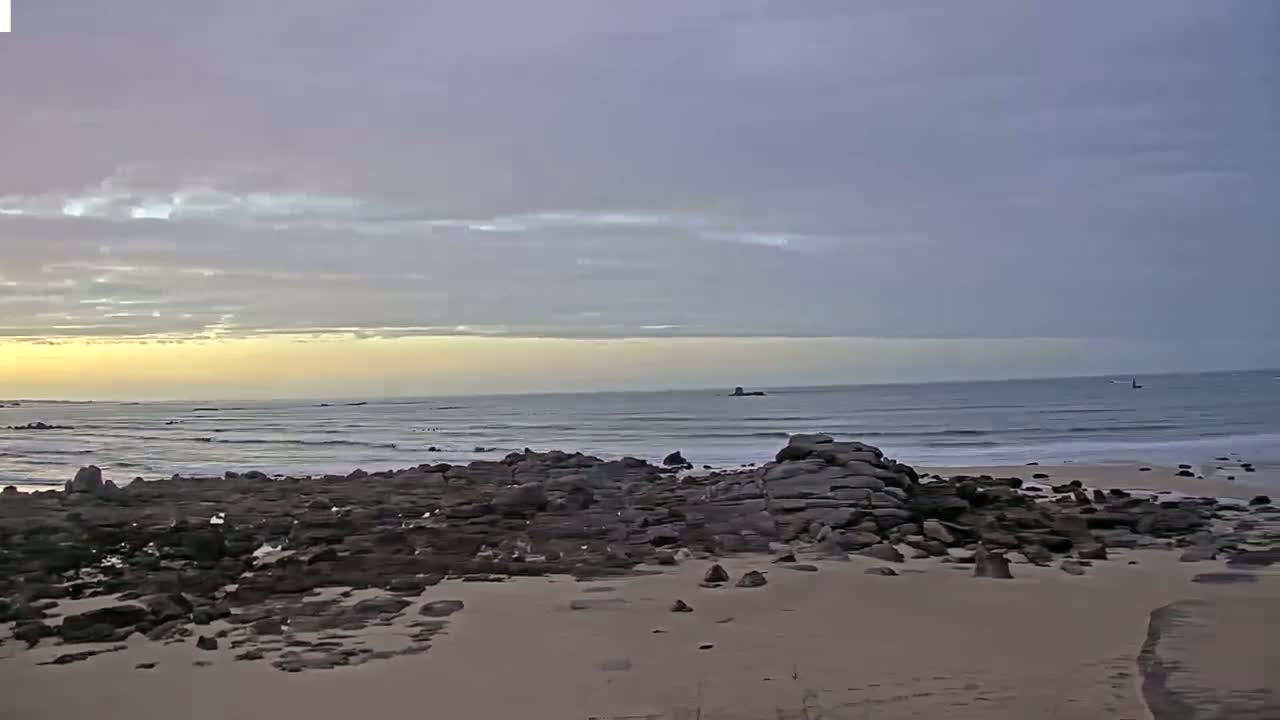 A sandy beach with dark rocks in the foreground stretches to a calm ocean under a pale, cloudy sky.
