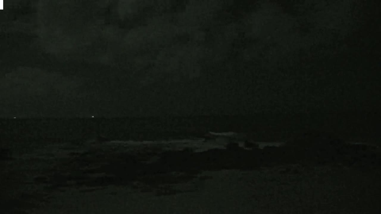 A dark, nighttime scene shows a rocky shoreline with a dimly lit ocean under a cloudy sky.