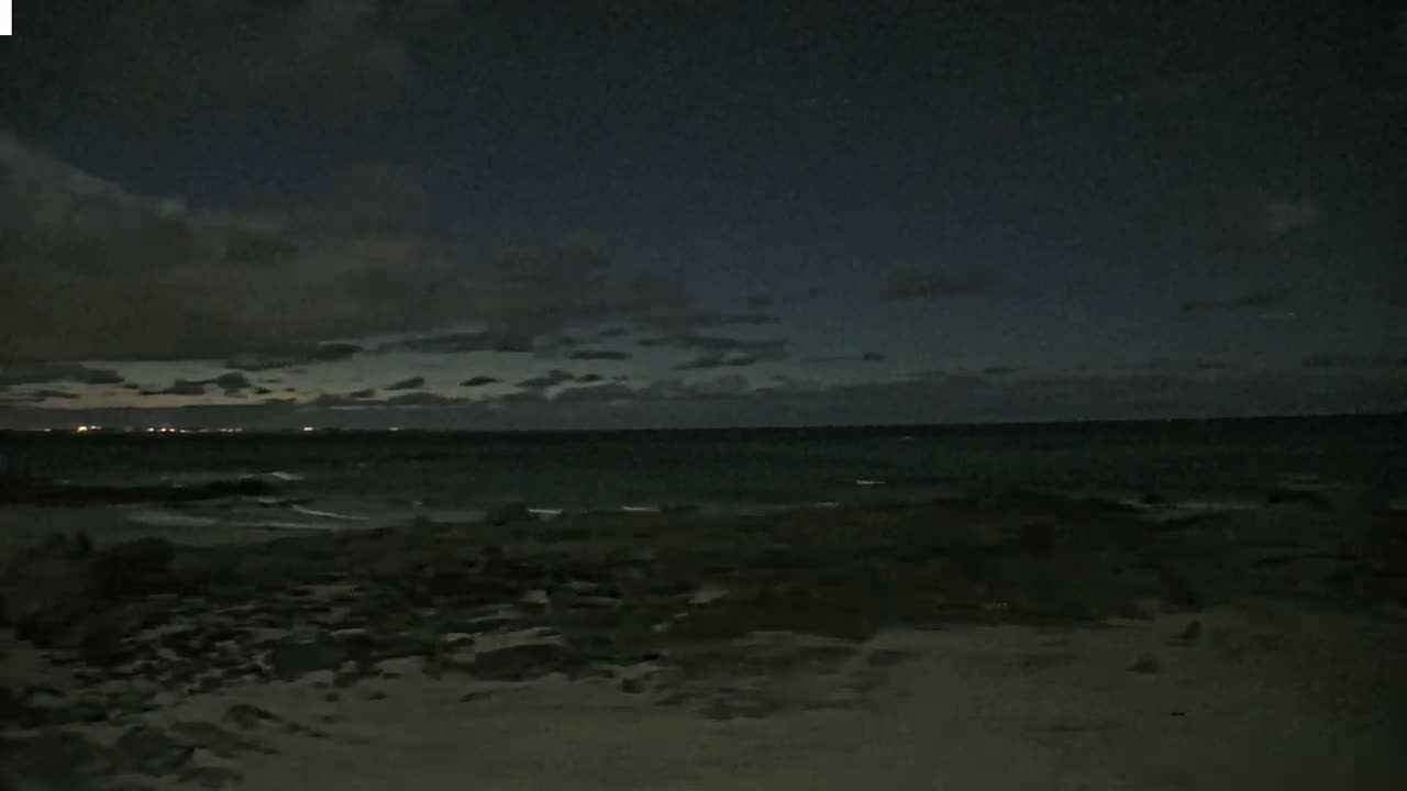 A dark, nighttime beach scene shows a mostly calm ocean under a cloudy sky, with faint lights visible on the horizon.