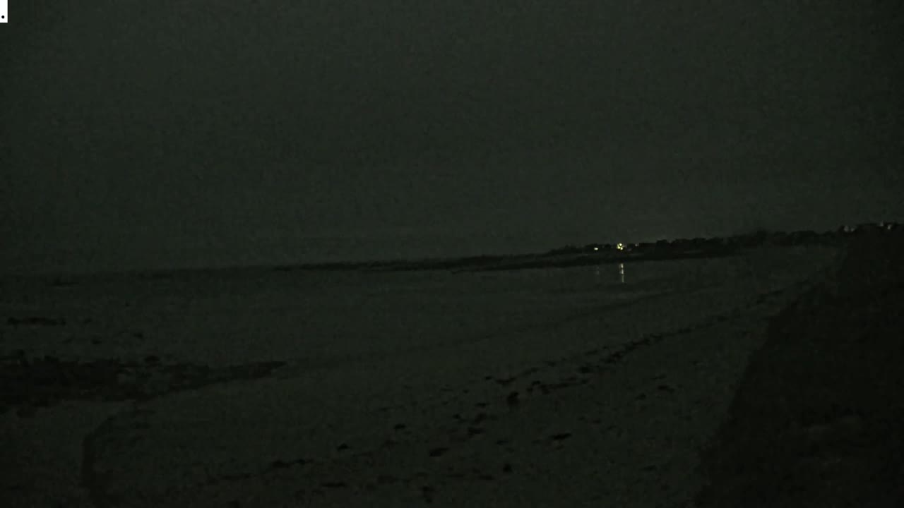 A dark beach at night is seen under an overcast sky, with a few faint lights visible in the distance.
