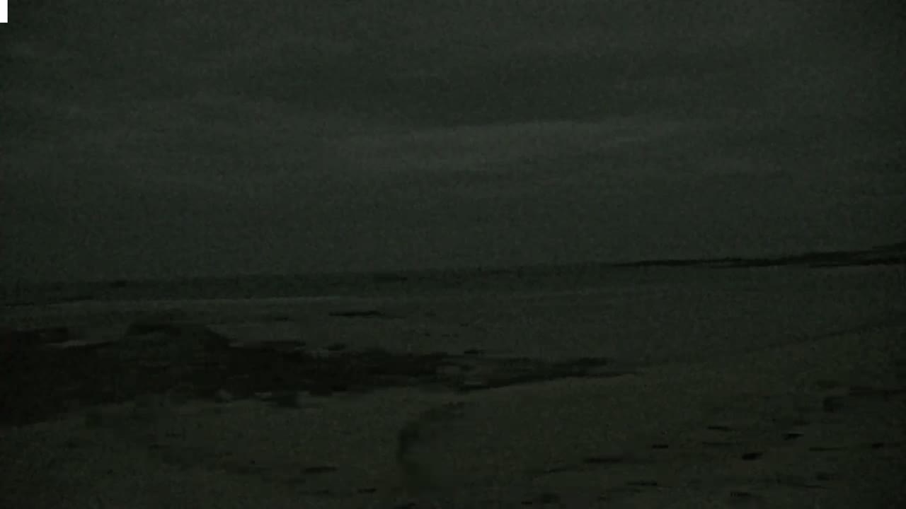 A dark, overcast sky hangs over a dimly lit beach with a calm, dark body of water in the background.
