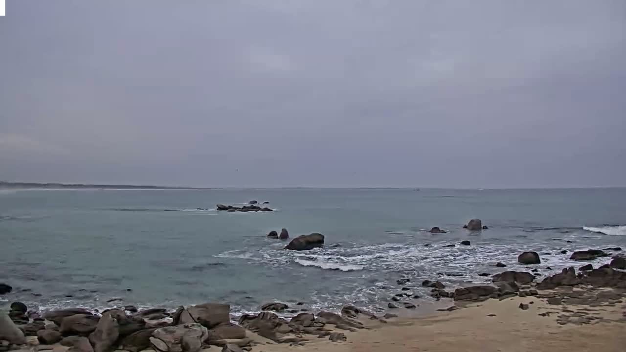 A rocky shoreline with calm, gray-green water under an overcast sky.