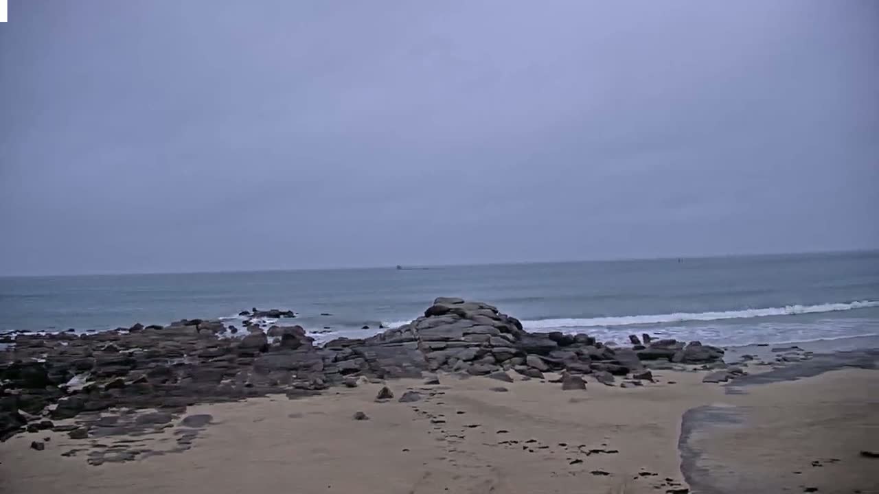 A sandy beach with dark rocks meets a calm, gray ocean under an overcast sky.