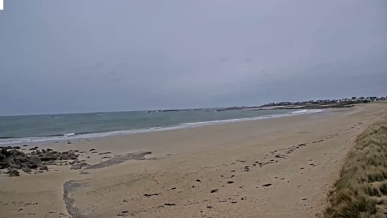A long, sandy beach stretches towards a calm, gray ocean under an overcast sky.