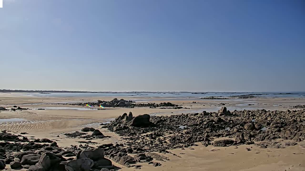 A sandy beach with dark rocks scattered across it stretches to a calm ocean under a clear blue sky.