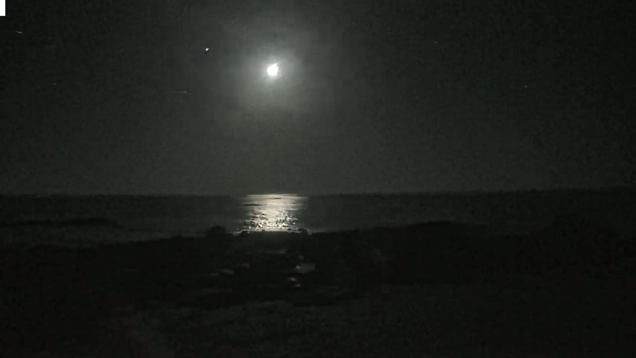 A bright moon illuminates a dark, calm ocean and rocky shoreline at night.