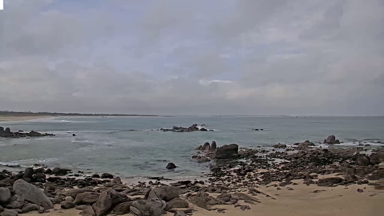 A rocky shoreline with a calm, light-blue ocean under an overcast sky.