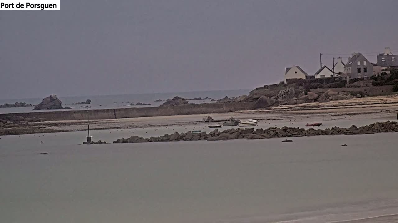 A calm, overcast day shows a small harbor with several boats moored near a rocky shoreline and a few buildings in the distance.
