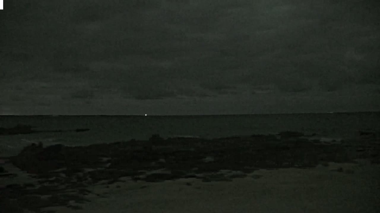 A dark, overcast night scene shows a calm ocean with a single, distant light on the horizon and a rocky shoreline in the foreground.