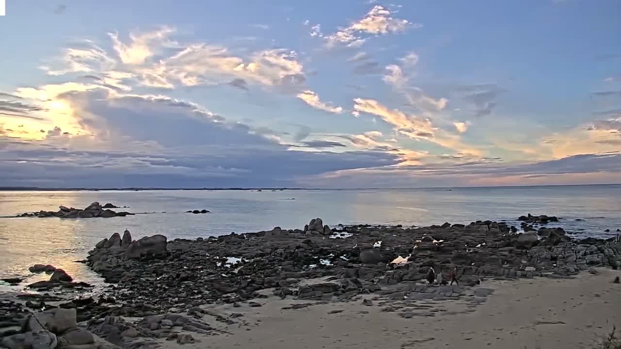 Plouescat Beach Line & City PTZ Live Cam - Morlaix, Finistère, Bretagne, France