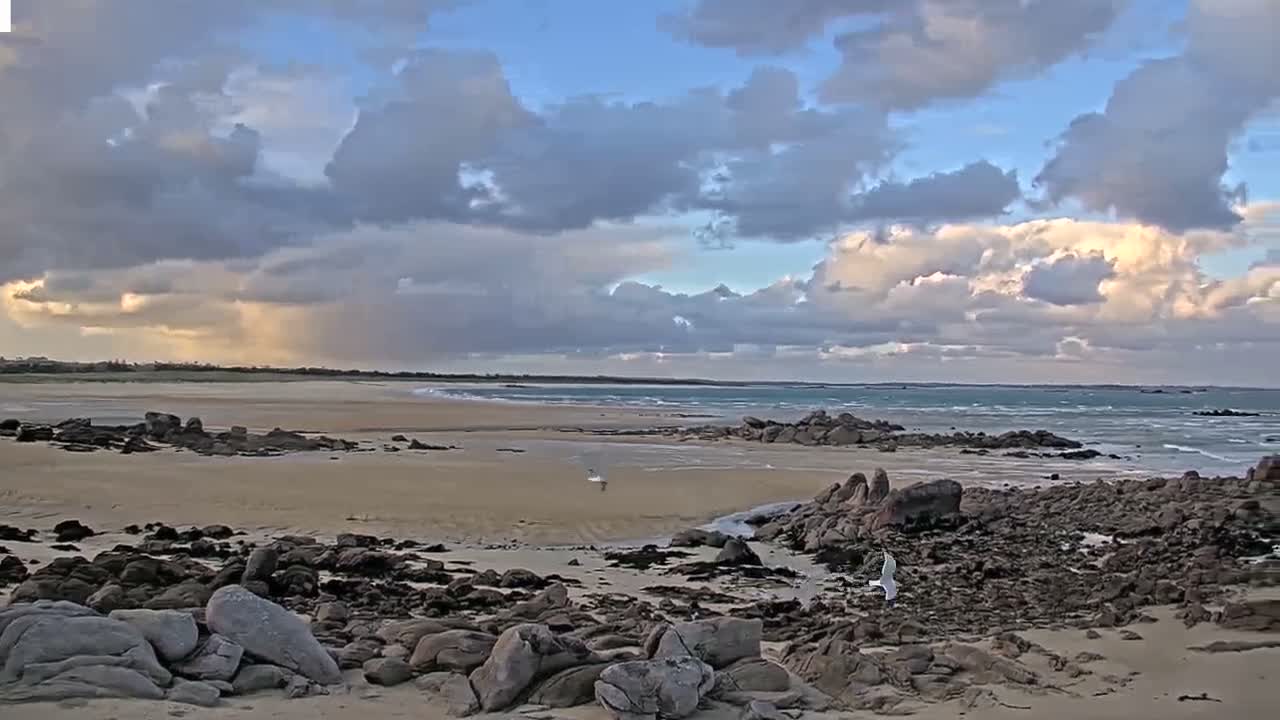 A wide, rocky beach with two seagulls meets a choppy ocean under a dramatic, partly cloudy sky, featuring shafts of sunlight breaking through darker clouds on the left.