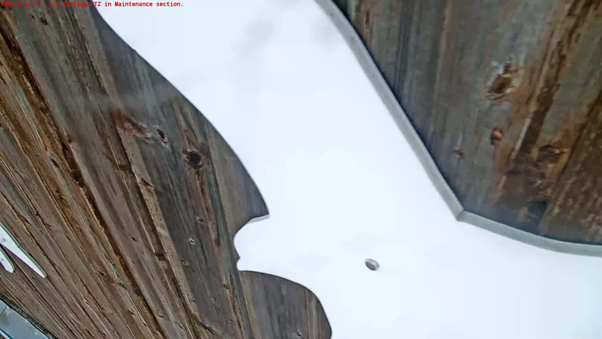 A large, white, bat-shaped object is partially visible against a backdrop of weathered, brown wood.