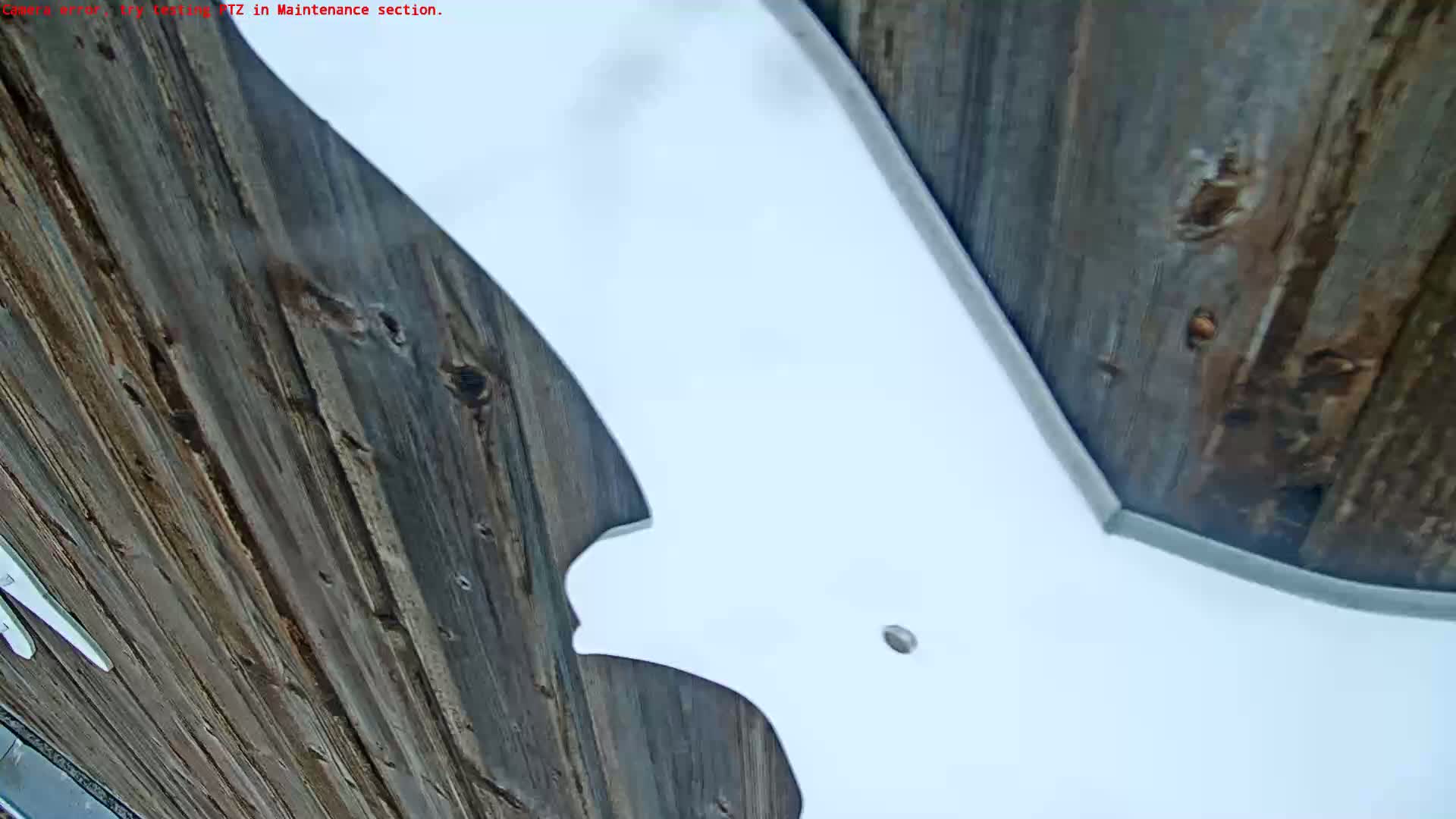 A large, white, bat-shaped object is attached to a dark brown wooden surface.